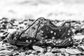 Concept of environmental protection and pollution. An old Shoe covered with shells lies on the seashore. Close up. In the Royalty Free Stock Photo