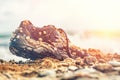 Concept of environmental protection and pollution. An old Shoe covered with shells lies on the seashore. Close up. In the Royalty Free Stock Photo