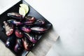 Close up black plate of red purple oyster or shellfish, fresh seafood for costumers, copy space Royalty Free Stock Photo