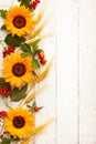Concept of fall harvest or Thanksgiving day. Autumn composition with wheat ears, sunflowers and berries on white wooden table. Royalty Free Stock Photo