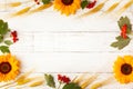 Concept of fall harvest or Thanksgiving day. Autumn composition with wheat ears, sunflowers and berries on white wooden table. Royalty Free Stock Photo