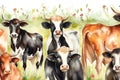 Farm animals seamless pattern, cows, cattle, countryside hand drawn watercolor illustration, summer design, textile, wallpaper, fa Royalty Free Stock Photo