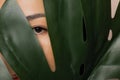 Concept fashion natural cosmetics, eye lashes Asian young girl looks through green monstera leaf Royalty Free Stock Photo