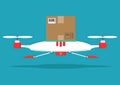 Dron delivers the parcel. The concept of fast, free delivery, gi