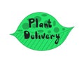 Concept - flower, plant delivery