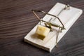 Concept food for rodents in mousetrap wooden background top view