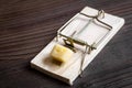 Concept food for rodents in mousetrap wooden background top view