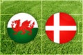 Wales vs Denmark football match