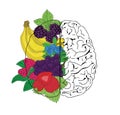 Concept of fruit helpful for healthy brain