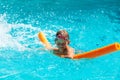Oudoor summer activity. Concept of fun, health, vacation. Happy smiling boy five years old in swimming goggles laught Royalty Free Stock Photo