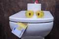 Concept of a funny toilet with eyes and tongue made of Euro bills. Humor about running out of toilet paper and spending money on