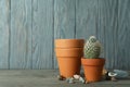 Concept of gardening against gray wooden background Royalty Free Stock Photo