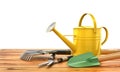 Concept of gardening. Gardening tools (Watering can, shovel, rake, flowers and scissors) on the wooden table. 3d illustration Royalty Free Stock Photo