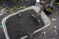 The concept of gardening, gardening summer or autumn work in the garden and vegetable garden. Garden wheelbarrow with