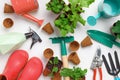 The concept of gardening. Top view of tools and potted flowers on the table