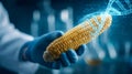 Concept of genetically modified corn with DNA chain, biotechnological research in laboratory conditions Royalty Free Stock Photo