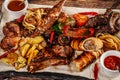 Concept of Georgian cuisine. Large meat board with shashlik, roasted meat, french fries, roast lamb and sauce. Serving dishes Royalty Free Stock Photo