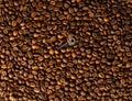 The concept of getting out of a difficult situation through thoughtful actions. The texture of the coffee beans and the Royalty Free Stock Photo