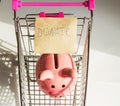 The concept of giving Tuesday and reasonable savings on purchases, a cute piggy bank and shopping cart, on a white
