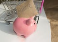 The concept of giving Tuesday and reasonable savings on purchases, a cute piggy bank and shopping cart, on a white