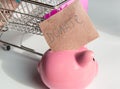 The concept of giving Tuesday and reasonable savings on purchases, a cute piggy bank and shopping cart, on a white