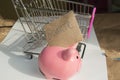 The concept of giving Tuesday and reasonable savings on purchases, a cute piggy bank and shopping cart, on a white