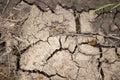 The concept of global warming. A desolate landscape cracked by drought