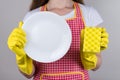Concept of good detergent. Cropped close up photo of positive cheerful glad lady wife showing pure clear white plate dishcloth in