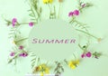 The concept of good summer days and a wonderful mood Royalty Free Stock Photo