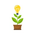 Concept growing idea Royalty Free Stock Photo