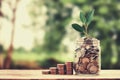 concept growth money and tree on coin glass jar saving and investment