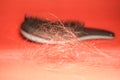 the concept of hair loss in women. comb with hair close-up