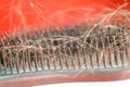 the concept of hair loss in women. comb with hair close-up