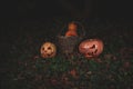 The concept of Halloween. Evil scary pumpkin in a basket in the forest. mystical jack lantern in the dark Royalty Free Stock Photo