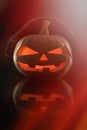 The concept of Halloween. Evil scary pumpkin in the dark in head