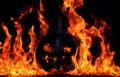 The concept of Halloween. The evil terrible pumpkin is burning i