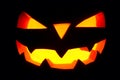 The concept of Halloween. The ghastly, ghastly pumpkin glows wit Royalty Free Stock Photo