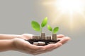 concept of hand holding some stack of coins with plant growing generative AI Royalty Free Stock Photo