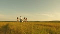 Concept of a happy childhood. mother, father and little daughter with sisters walking in field in the sun. Happy young Royalty Free Stock Photo
