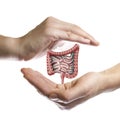 The concept of a healthy bowel. Royalty Free Stock Photo