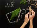 Concept of healthy eating, process of cooking, a healthy lifestyle. Hands of a woman, fresh dill on a hand-drawn cutting board, kn Royalty Free Stock Photo