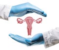 Concept of a healthy female reproductive system