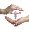 The concept of a healthy female reproductive system.