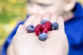 Concept of healthy food. Fresh berries as symbol of whole food