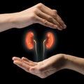 The concept of a healthy kidneys Royalty Free Stock Photo