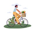 Concept of healthy lifestyle. A woman riding a bicycle with a basket full of vegetables, vector illustration on a plain Royalty Free Stock Photo