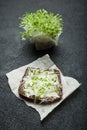 The concept of healthy nutrition and body cleansing. Low-calorie sandwich of micro greens and black bread