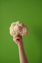 Female hand holds cauliflower on a green background. The concept of veganism and vegetarianism.