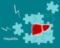 Concept of hepatitis A,B,C,D, cirrhosis.Fragile and broken liver falls apart by puzzles.World hepatitis day. Organ care.