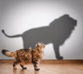 Concept of hidden potential, cat and lion shadow Royalty Free Stock Photo